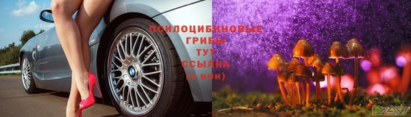 метамфетамин Белокуриха